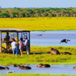 Turismo no Pantanal para MEI, programa Visit Brasil, oportunidades para microempreendedores
