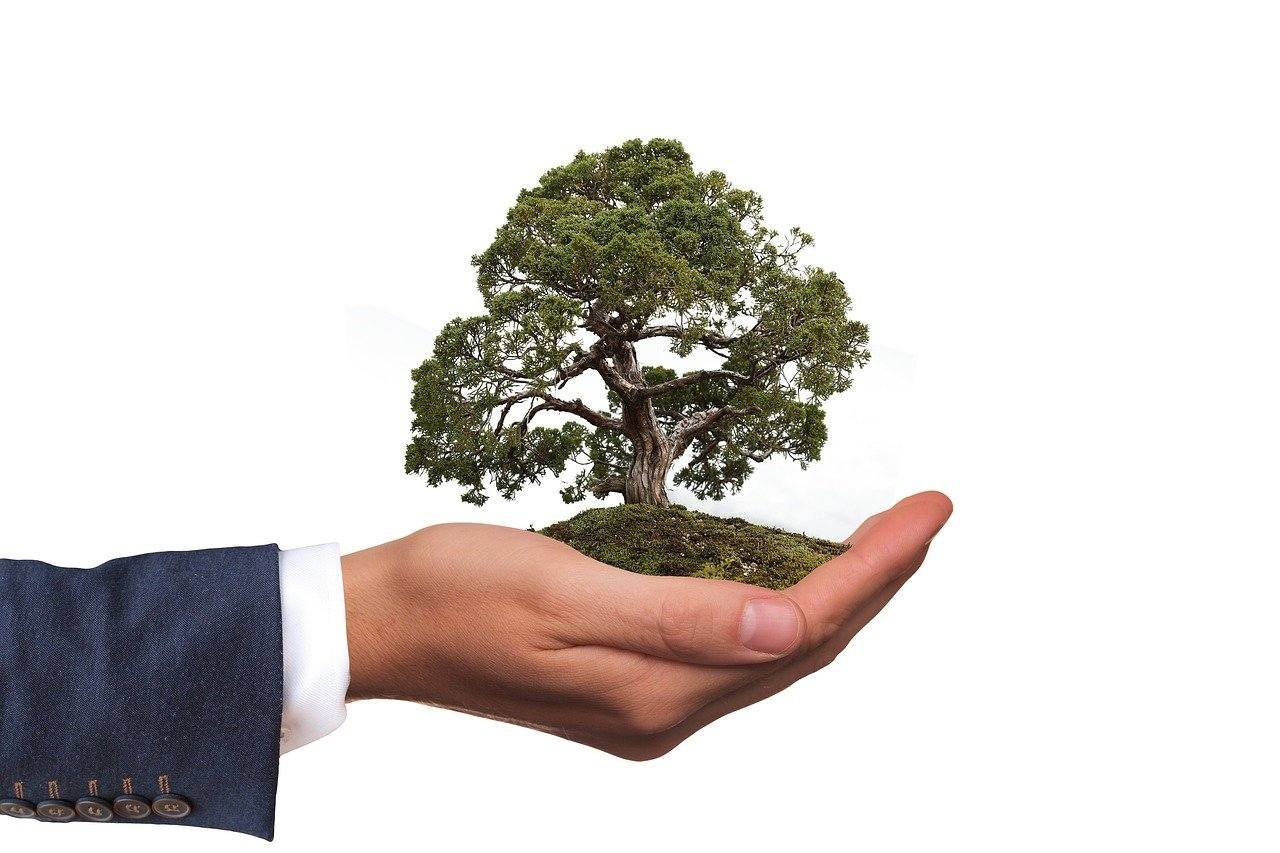 Empreendedorismo Social: Conceito, Impacto e Como Começar 1 Empreendedorismo Social: Conceito, Impacto e Como Começar